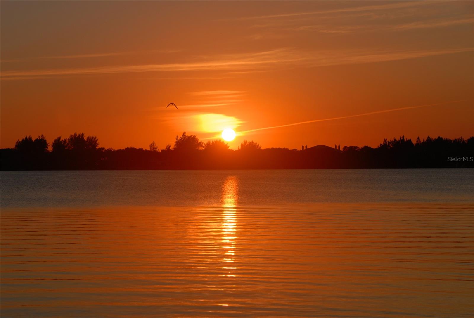 D6145898 Property Photo