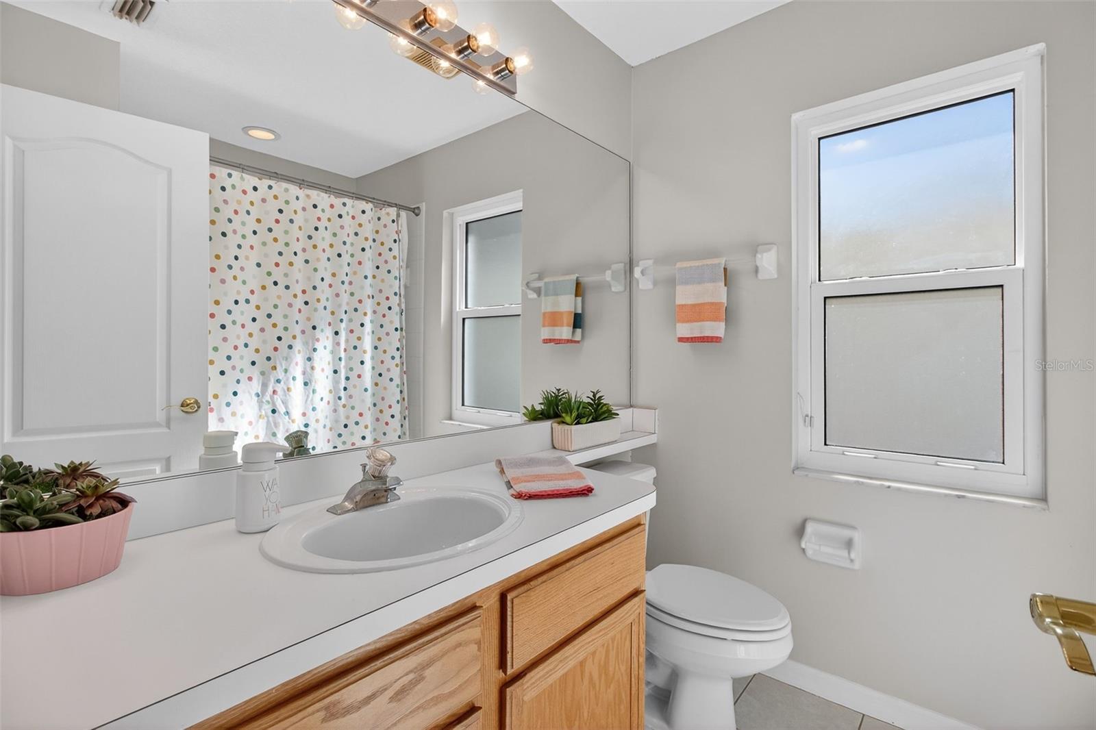 8621 MANASSAS RD, TAMPA, FL, 33635