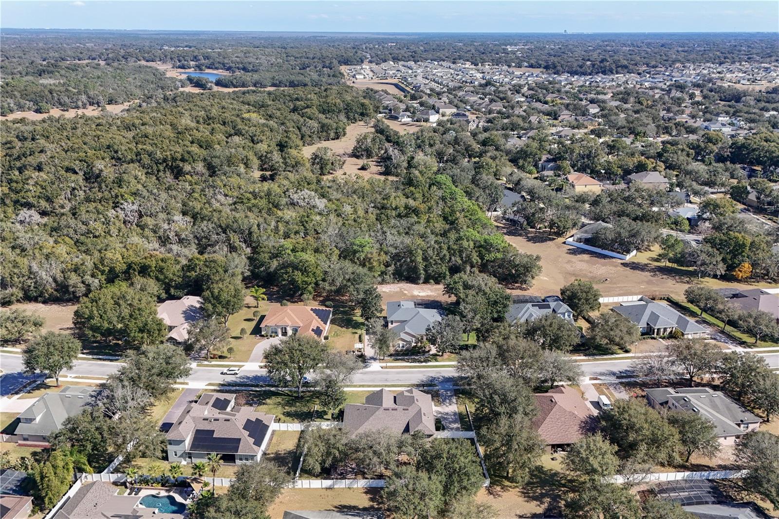 2431 PONKAN SUMMIT DR, APOPKA, FL, 32712