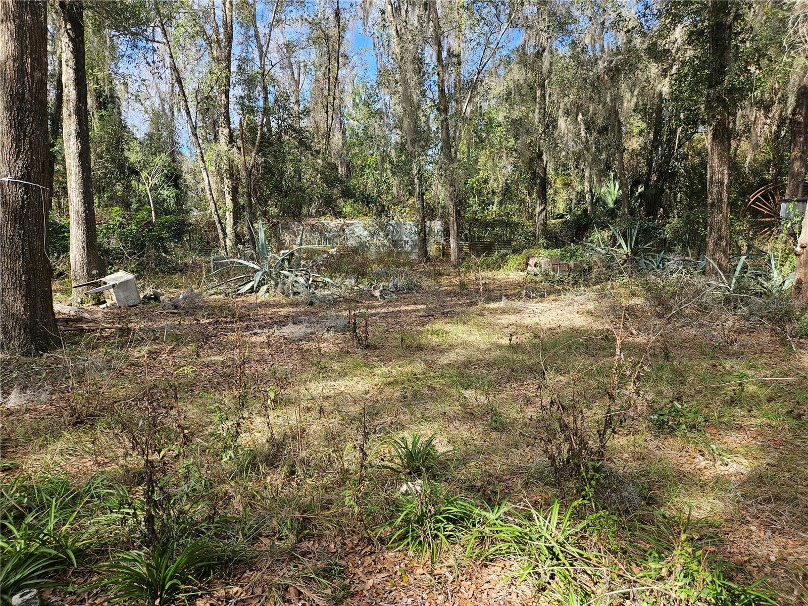 5870 SE 158TH CT, OCKLAWAHA, FL, 32179