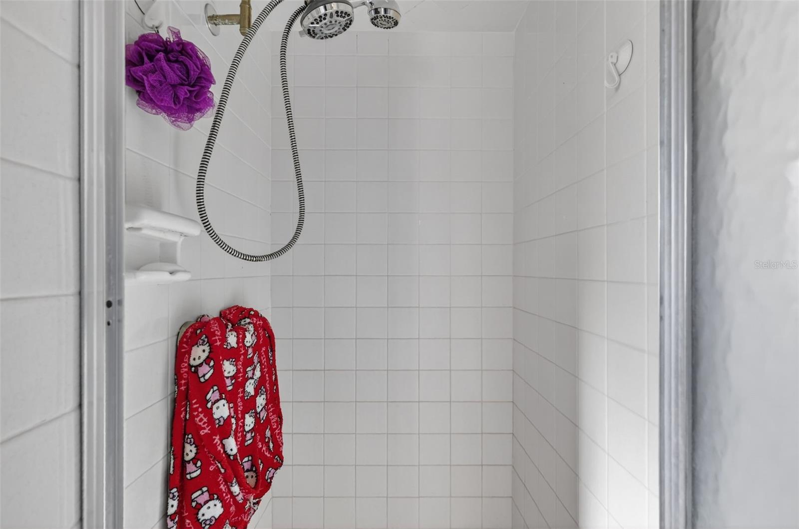 2230 SW 87TH PL, OCALA, FL, 34476