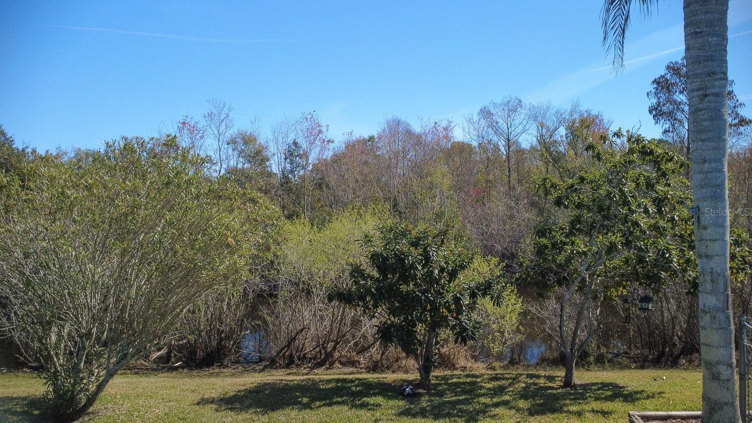 12200 SILK OAK LN, HUDSON, FL, 34667