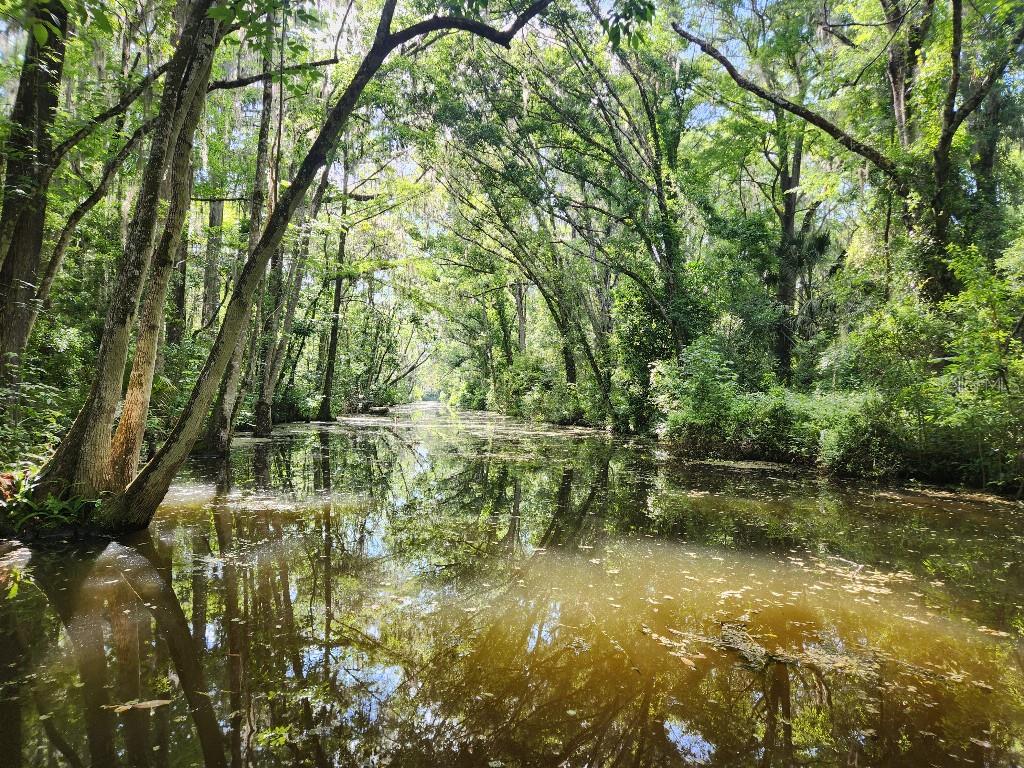 PINE RIDGE RD #5, LEESBURG, FL, 34748