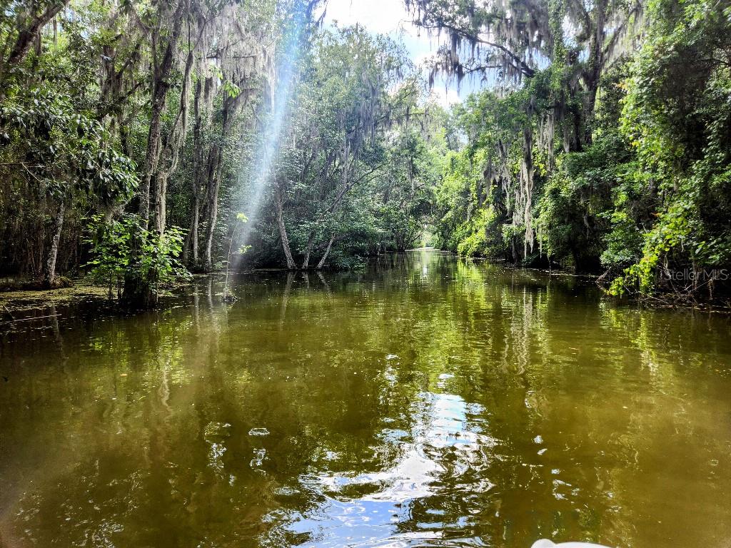 PINE RIDGE RD #5, LEESBURG, FL, 34748