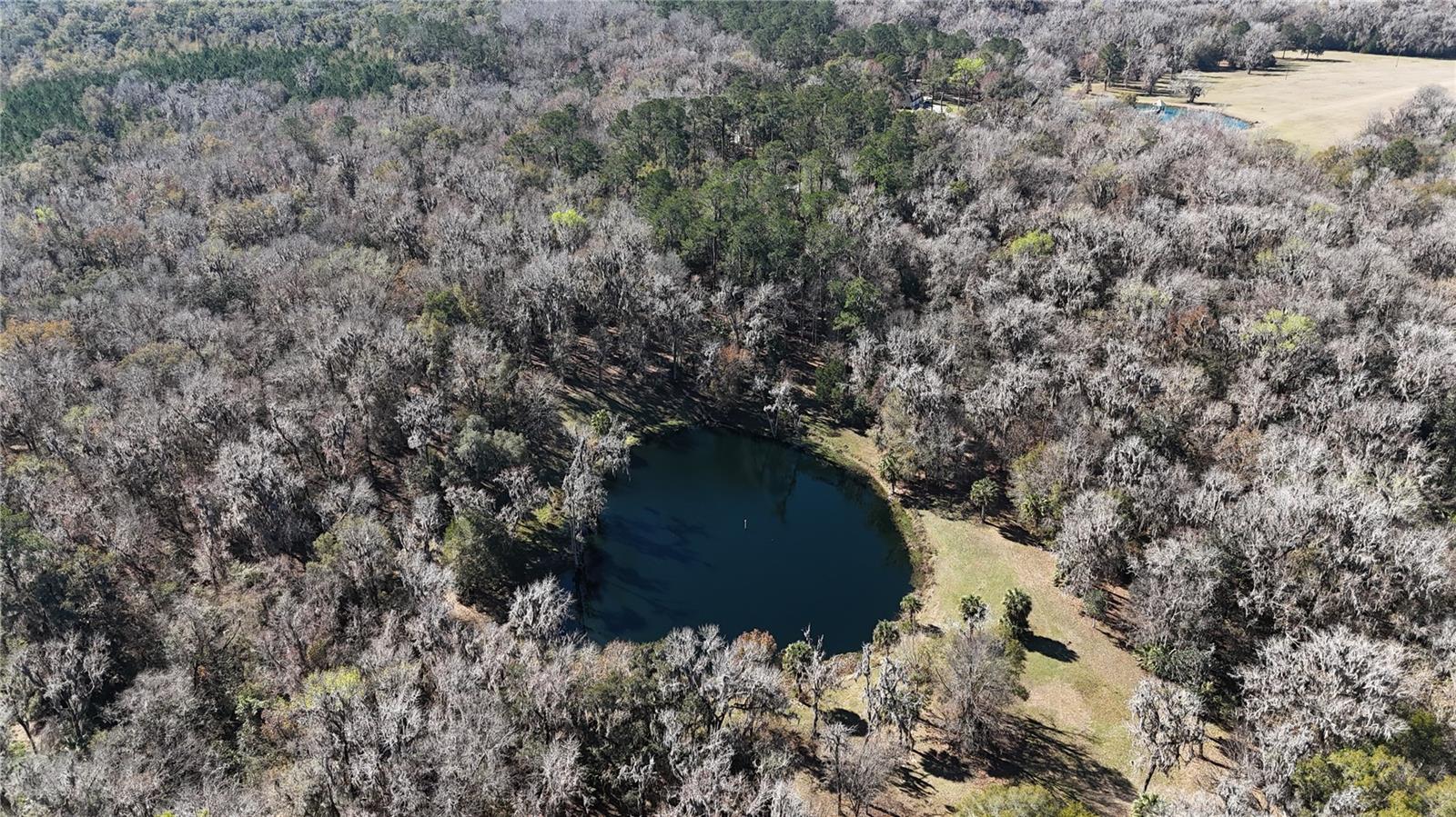 OM717740 Property Photo