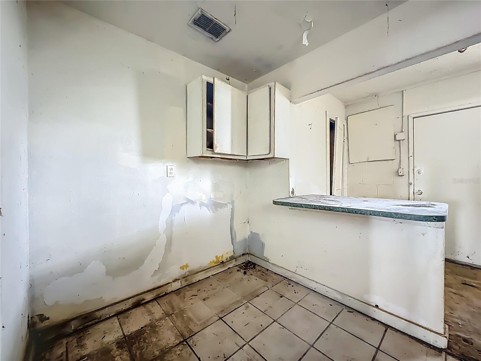 1227 W 3RD ST, JACKSONVILLE, FL, 32209