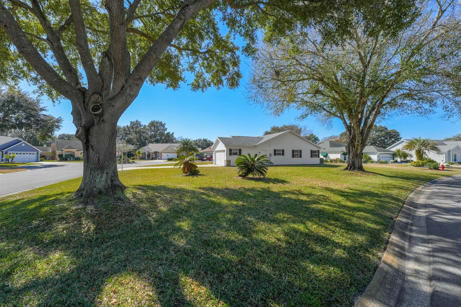 1601 CHAVEZ COURT, THE VILLAGES, FL, 32159
