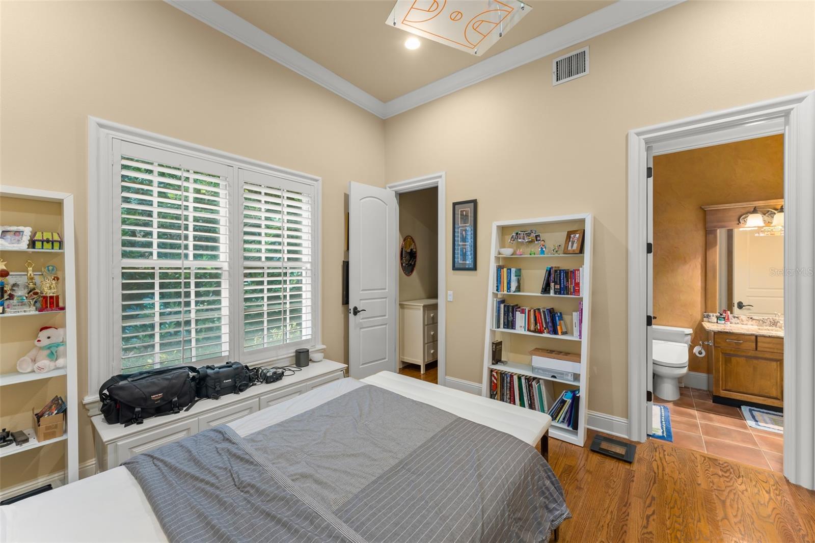 6248 LOUISE COVE DR, WINDERMERE, FL, 34786