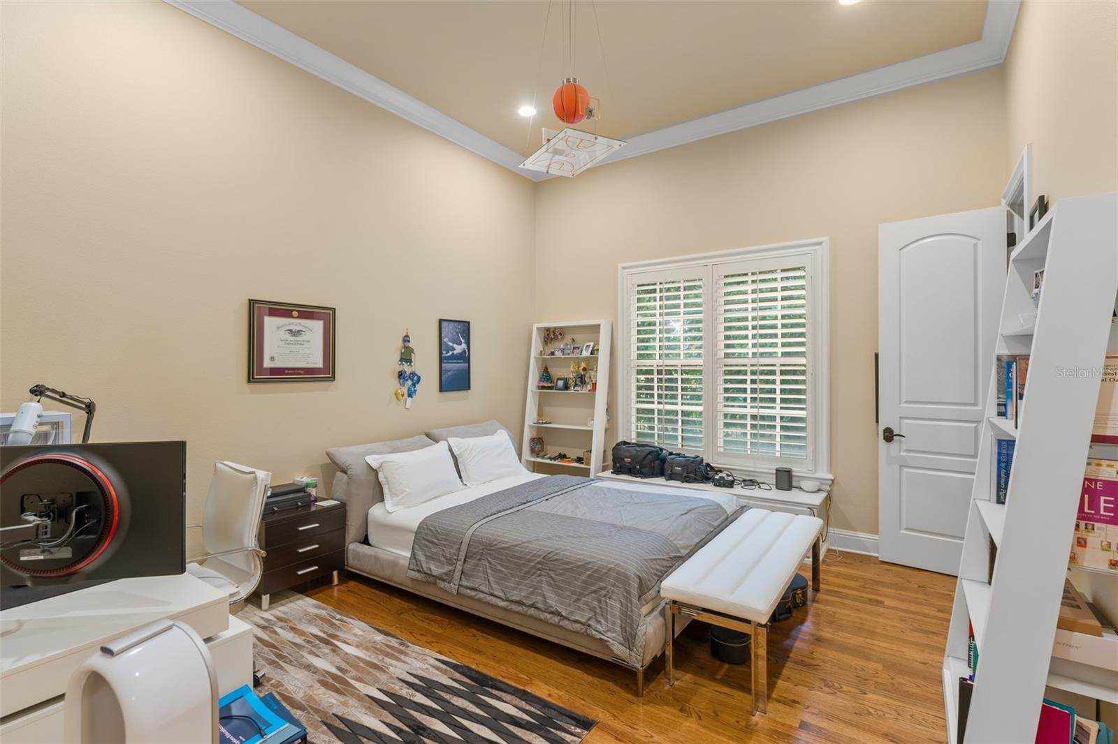 6248 LOUISE COVE DR, WINDERMERE, FL, 34786