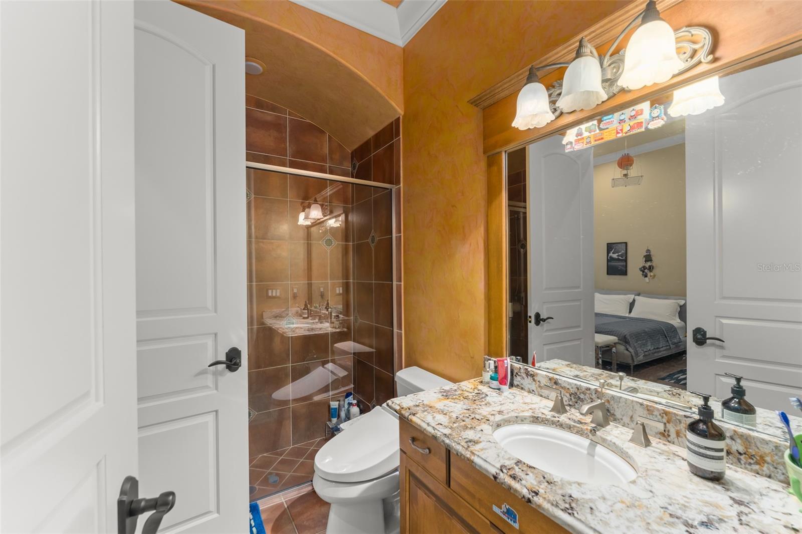 6248 LOUISE COVE DR, WINDERMERE, FL, 34786