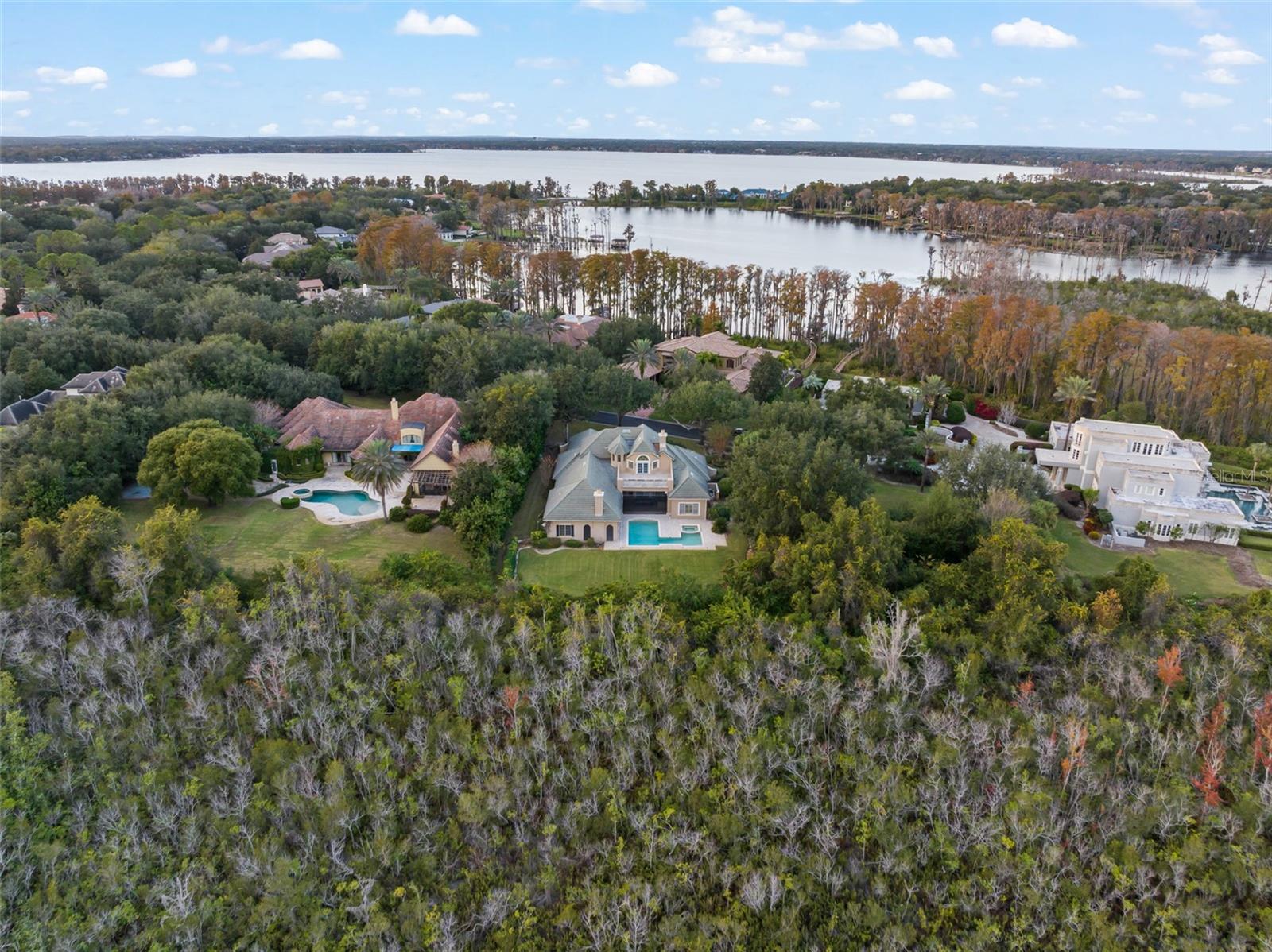 6248 LOUISE COVE DR, WINDERMERE, FL, 34786