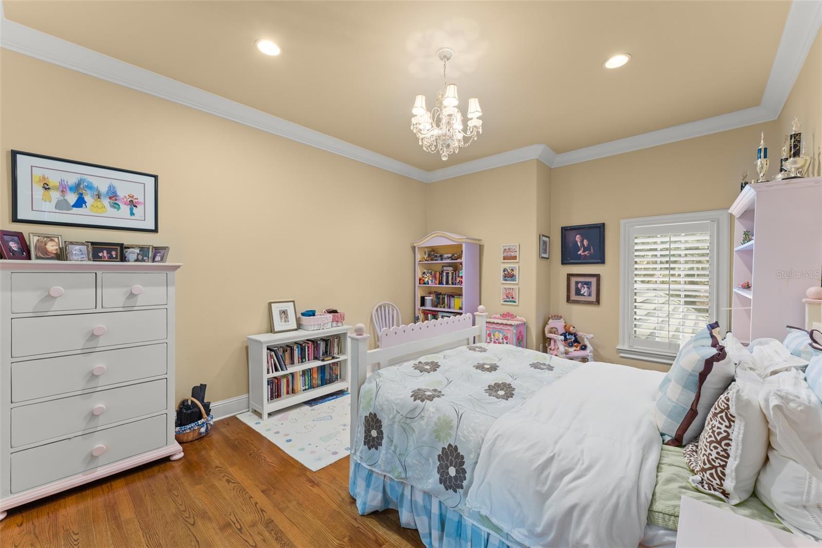 6248 LOUISE COVE DR, WINDERMERE, FL, 34786