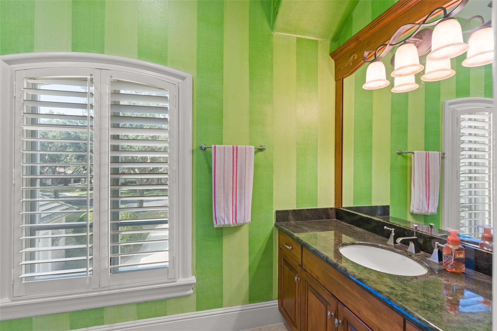 6248 LOUISE COVE DR, WINDERMERE, FL, 34786