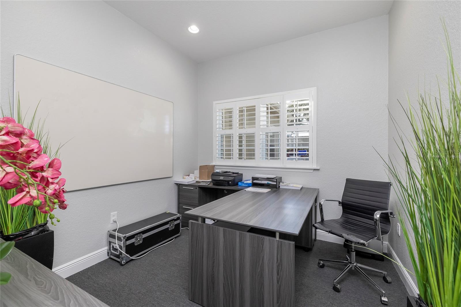 801 2ND ST N #C, SAFETY HARBOR, FL, 34695