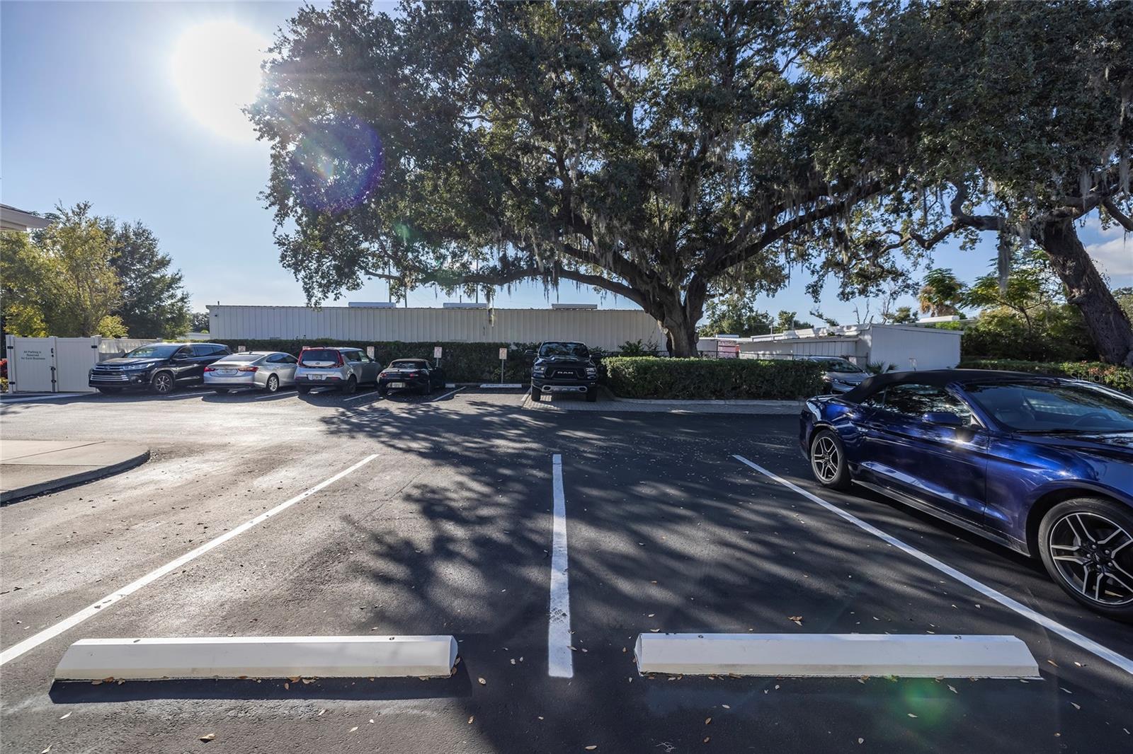 801 2ND ST N #C, SAFETY HARBOR, FL, 34695