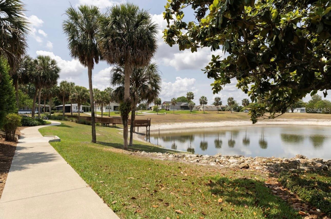 1220 DUSTIN DR, THE VILLAGES, FL, 32159