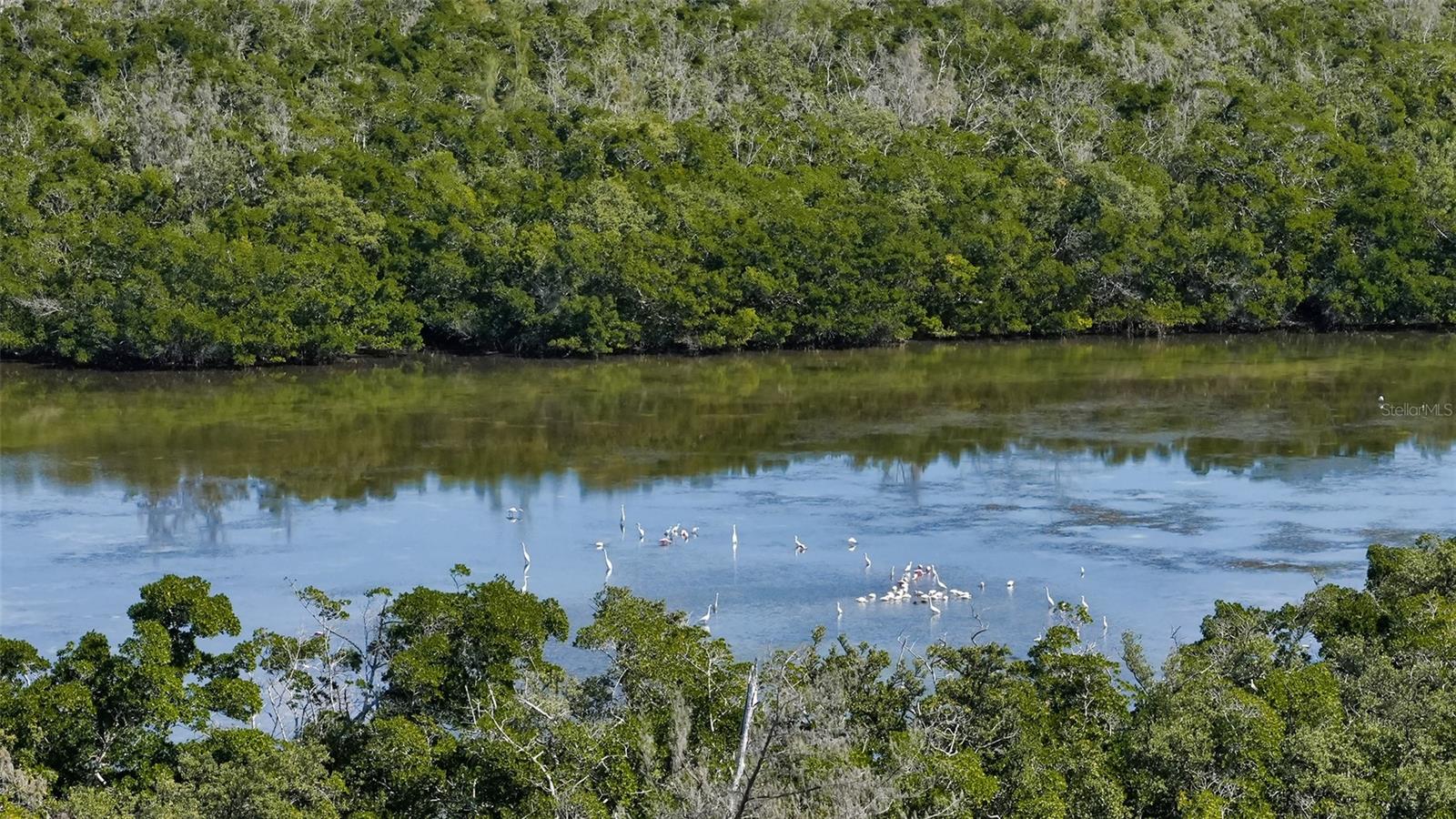 1750 BENJAMIN FRANKLIN DR #F, SARASOTA, FL, 34236