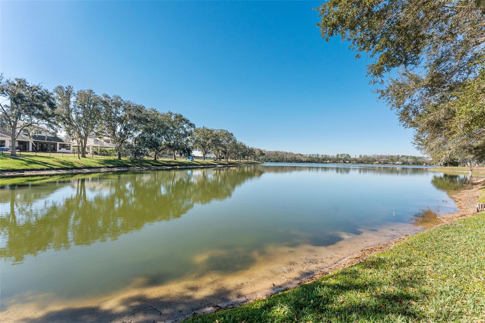 11604 SPLENDID LN, TAMPA, FL, 33626