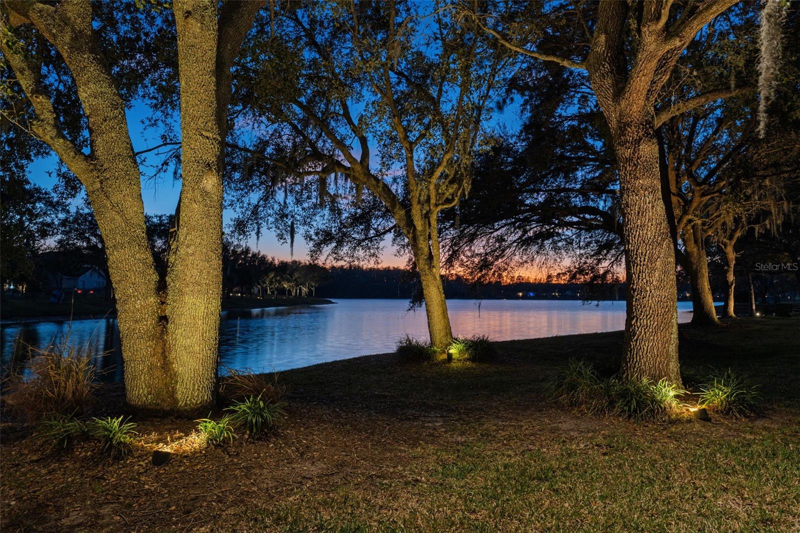 11604 SPLENDID LN, TAMPA, FL, 33626