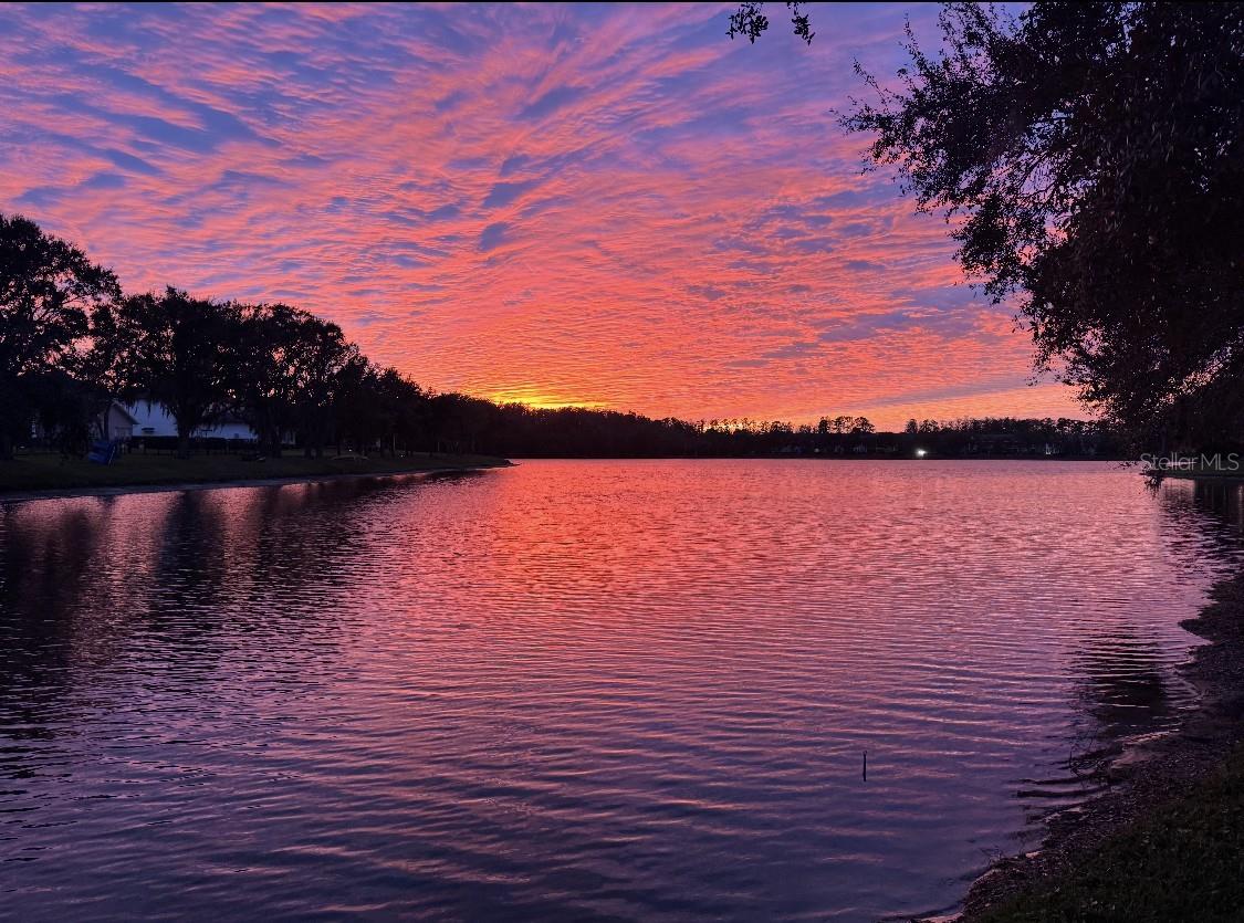 11604 SPLENDID LN, TAMPA, FL, 33626