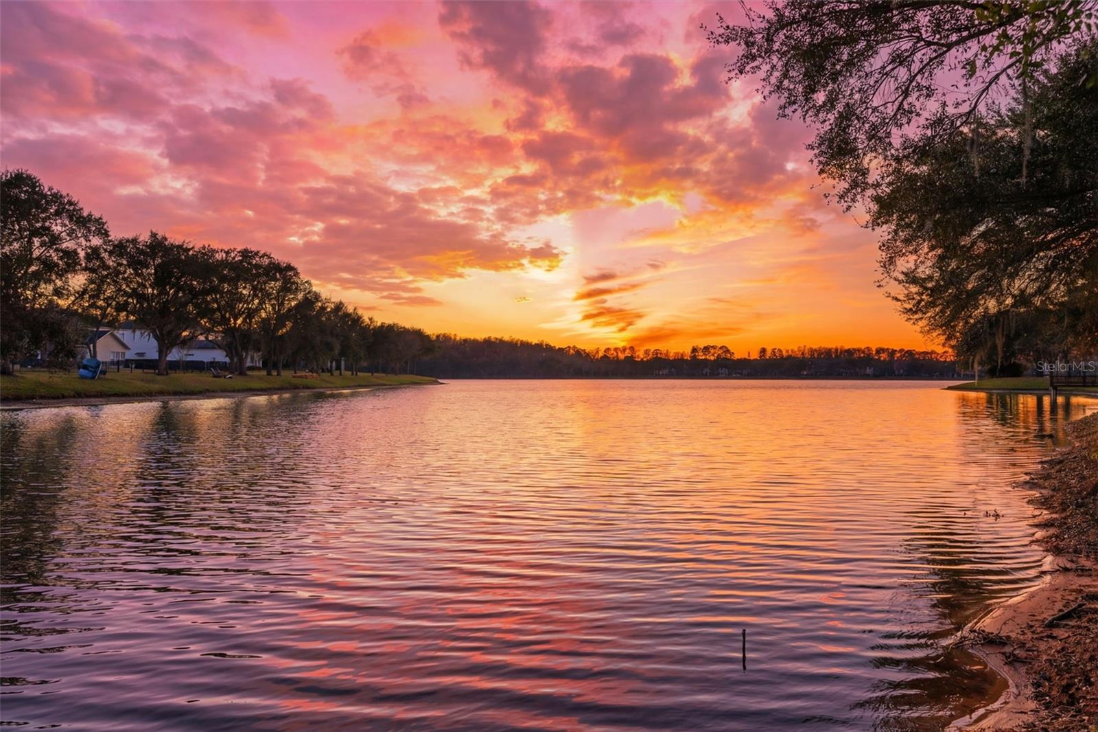 11604 SPLENDID LN, TAMPA, FL, 33626