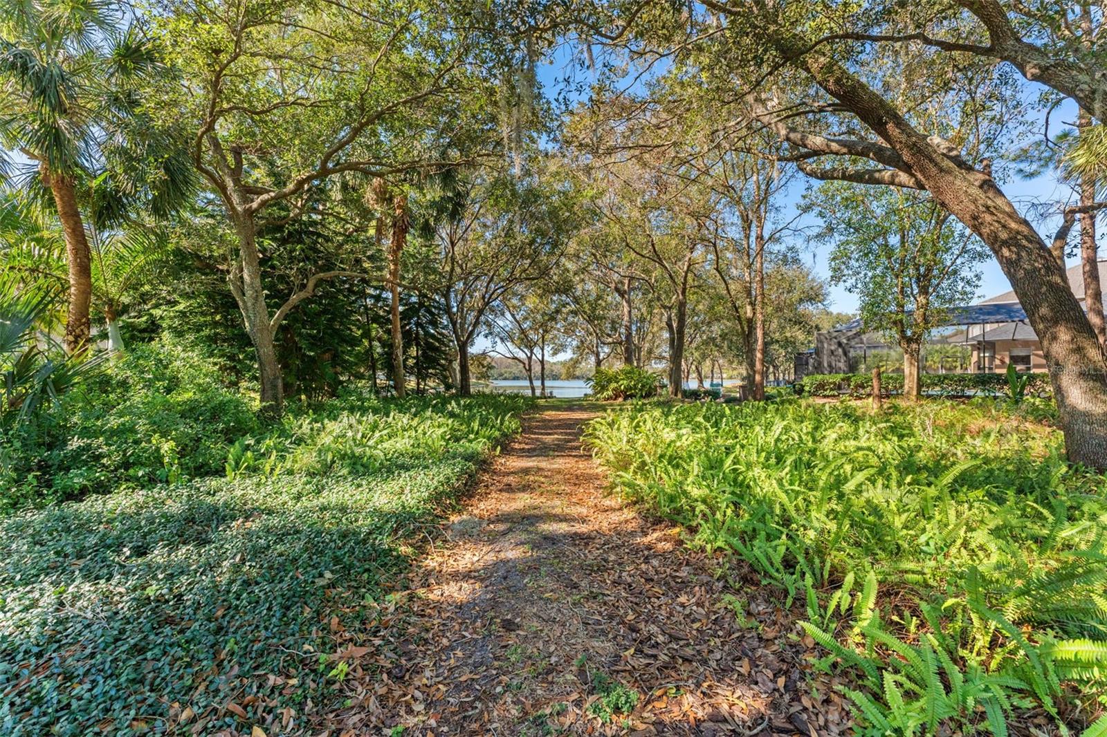 11604 SPLENDID LN, TAMPA, FL, 33626