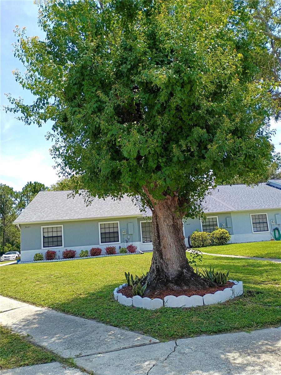 3025 JON JON CT, ORLANDO, FL, 32822