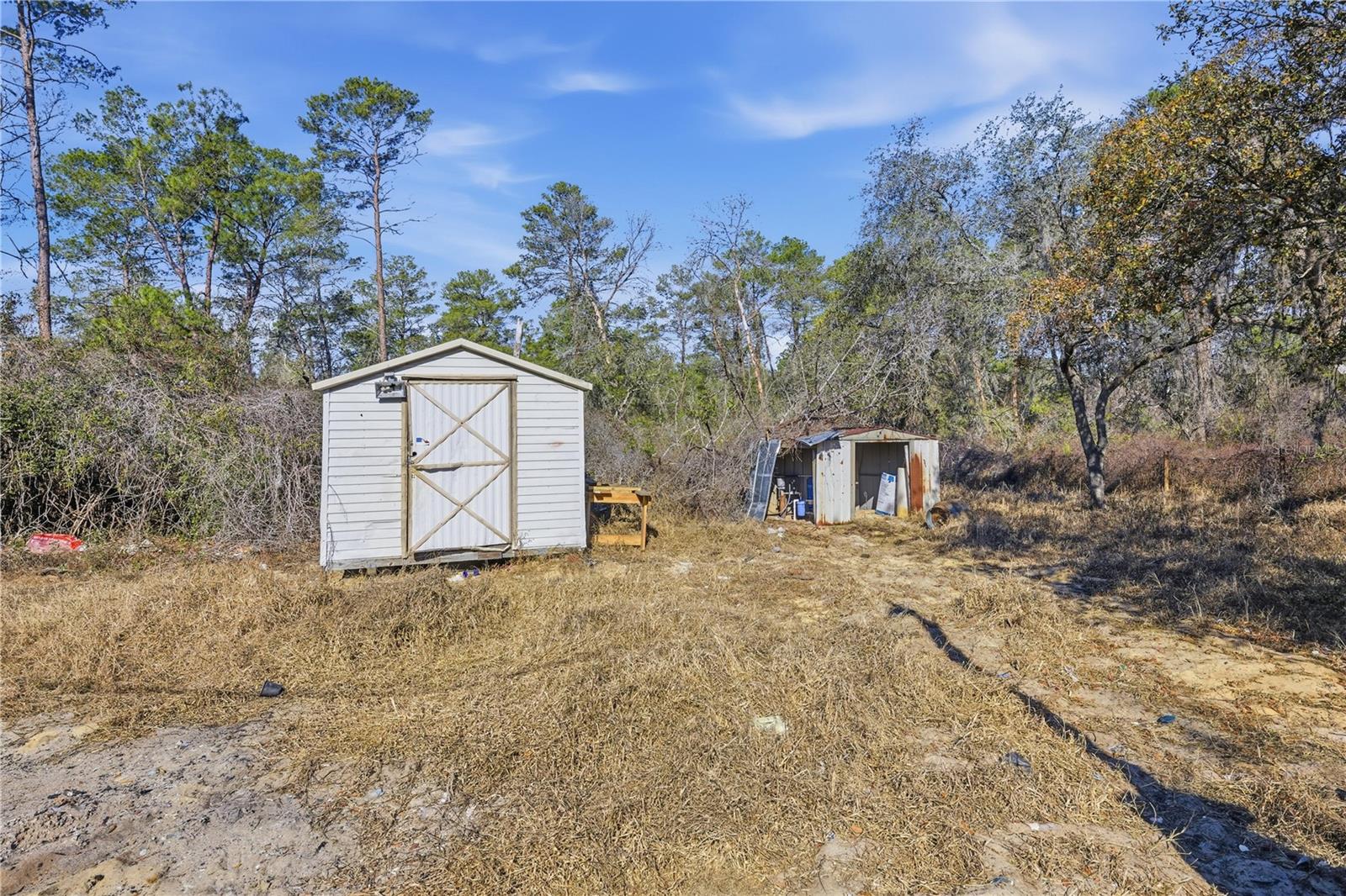 19661 SE 94TH PL, OCKLAWAHA, FL, 32179