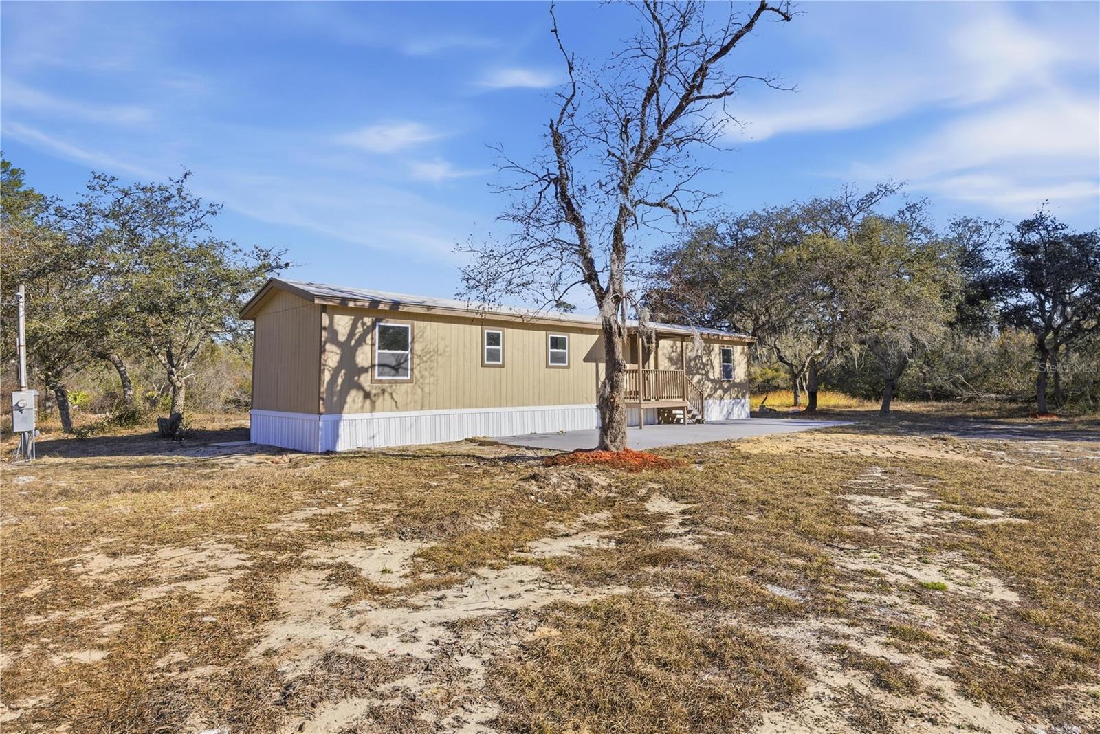 19661 SE 94TH PL, OCKLAWAHA, FL, 32179