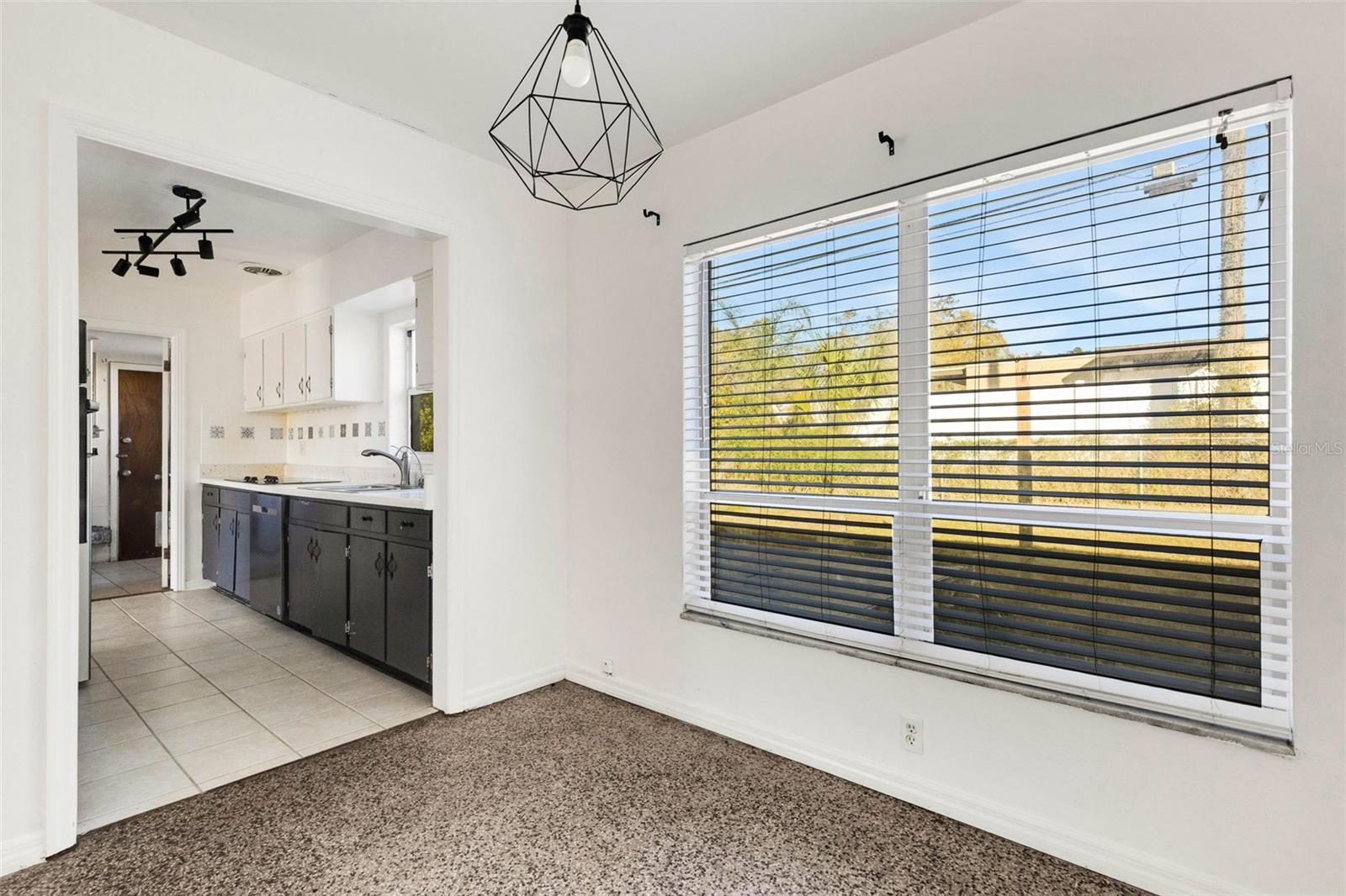 509 CAROLYNE ST, TEMPLE TERRACE, FL, 33617