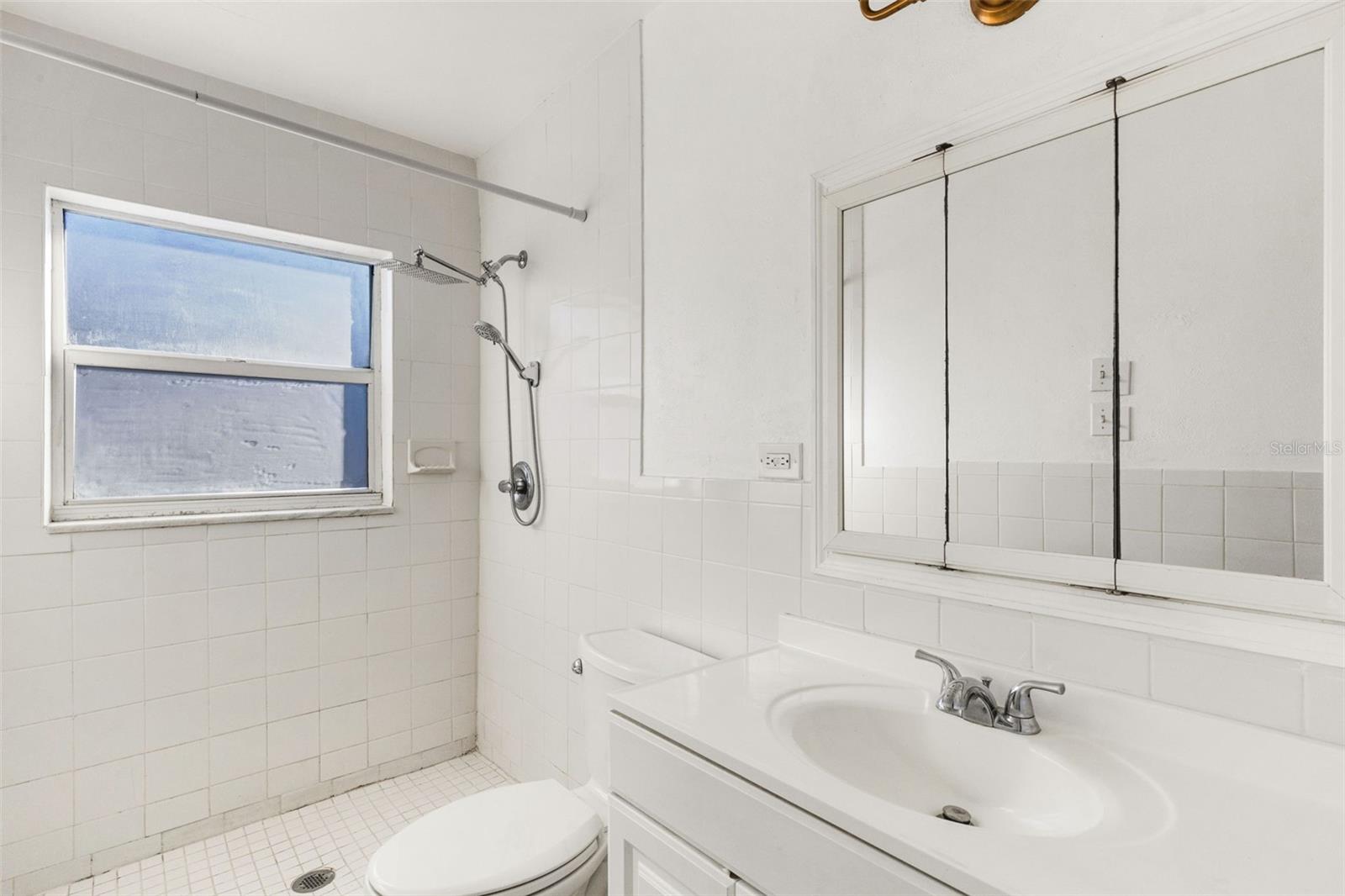 509 CAROLYNE ST, TEMPLE TERRACE, FL, 33617