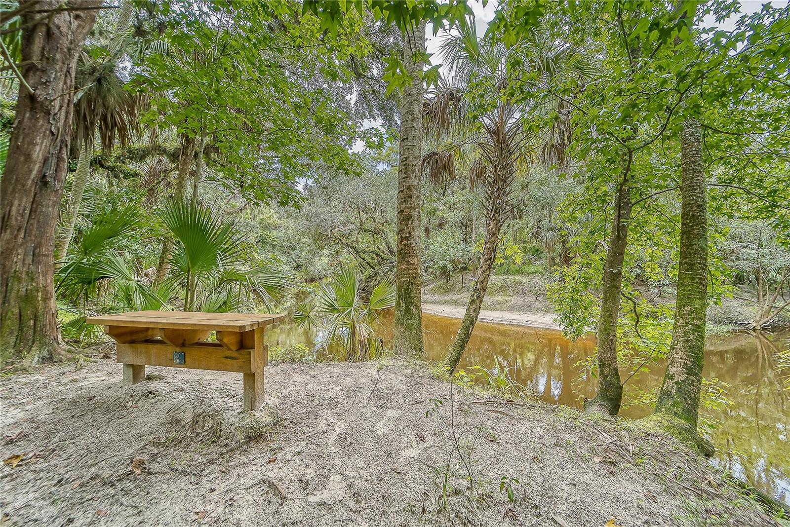 3522 FOX SQUIRREL LN, VALRICO, FL, 33596