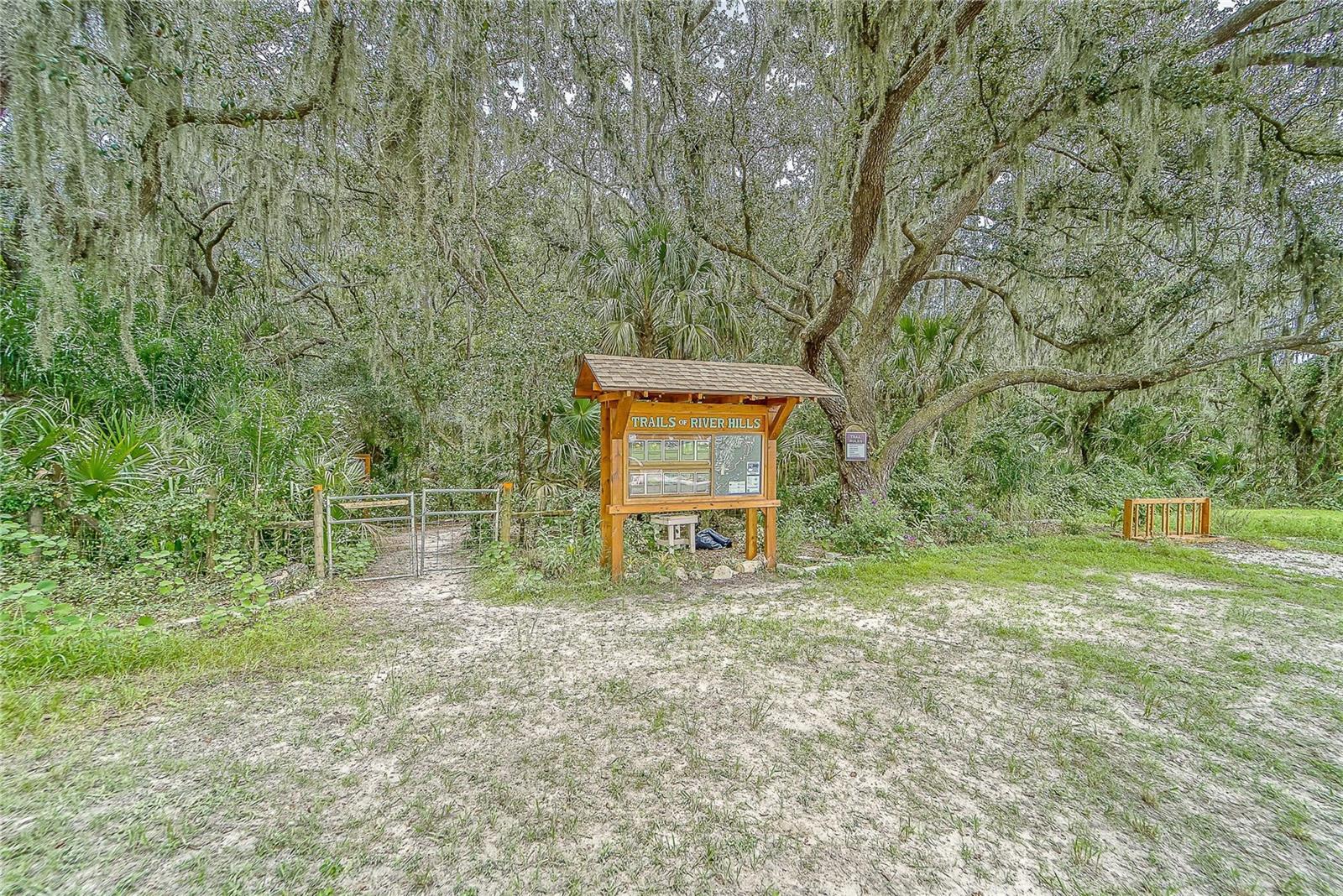 3522 FOX SQUIRREL LN, VALRICO, FL, 33596