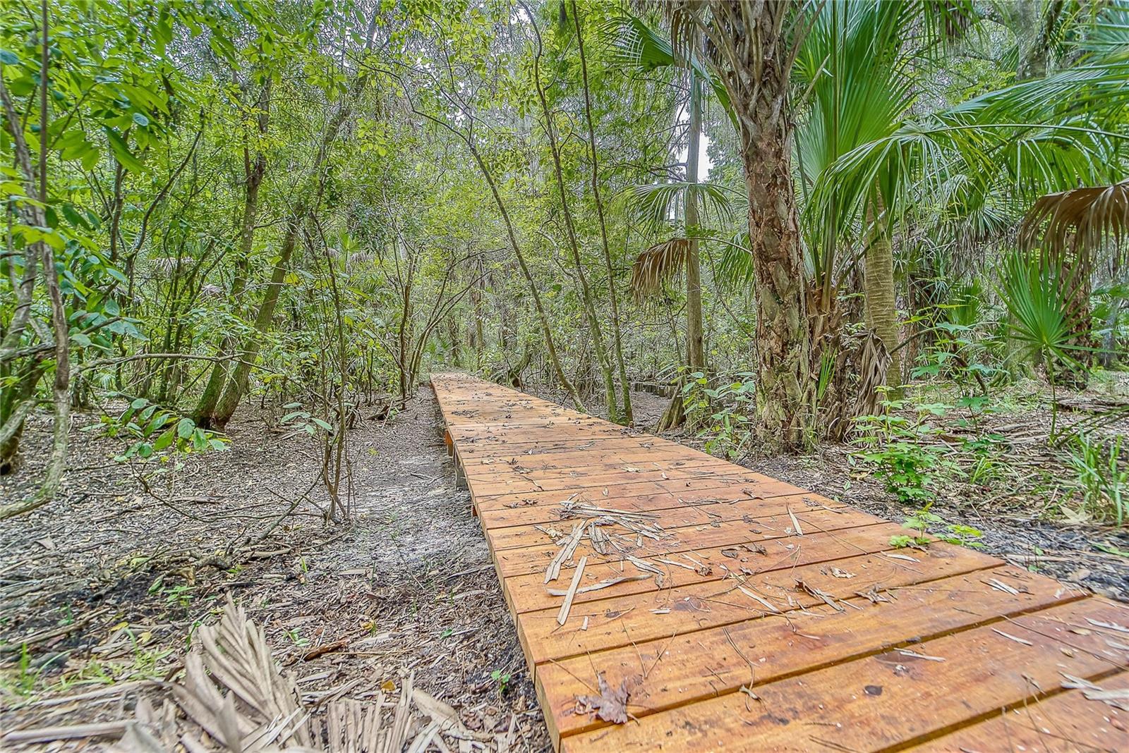 3522 FOX SQUIRREL LN, VALRICO, FL, 33596