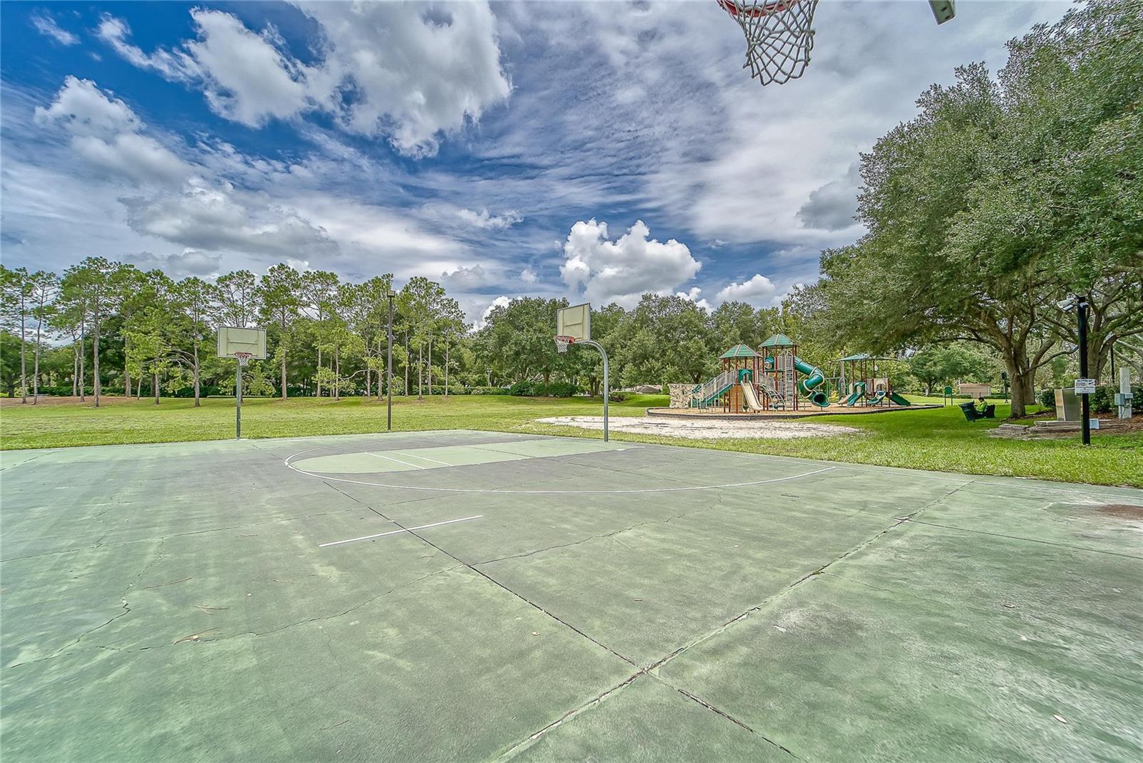 3522 FOX SQUIRREL LN, VALRICO, FL, 33596
