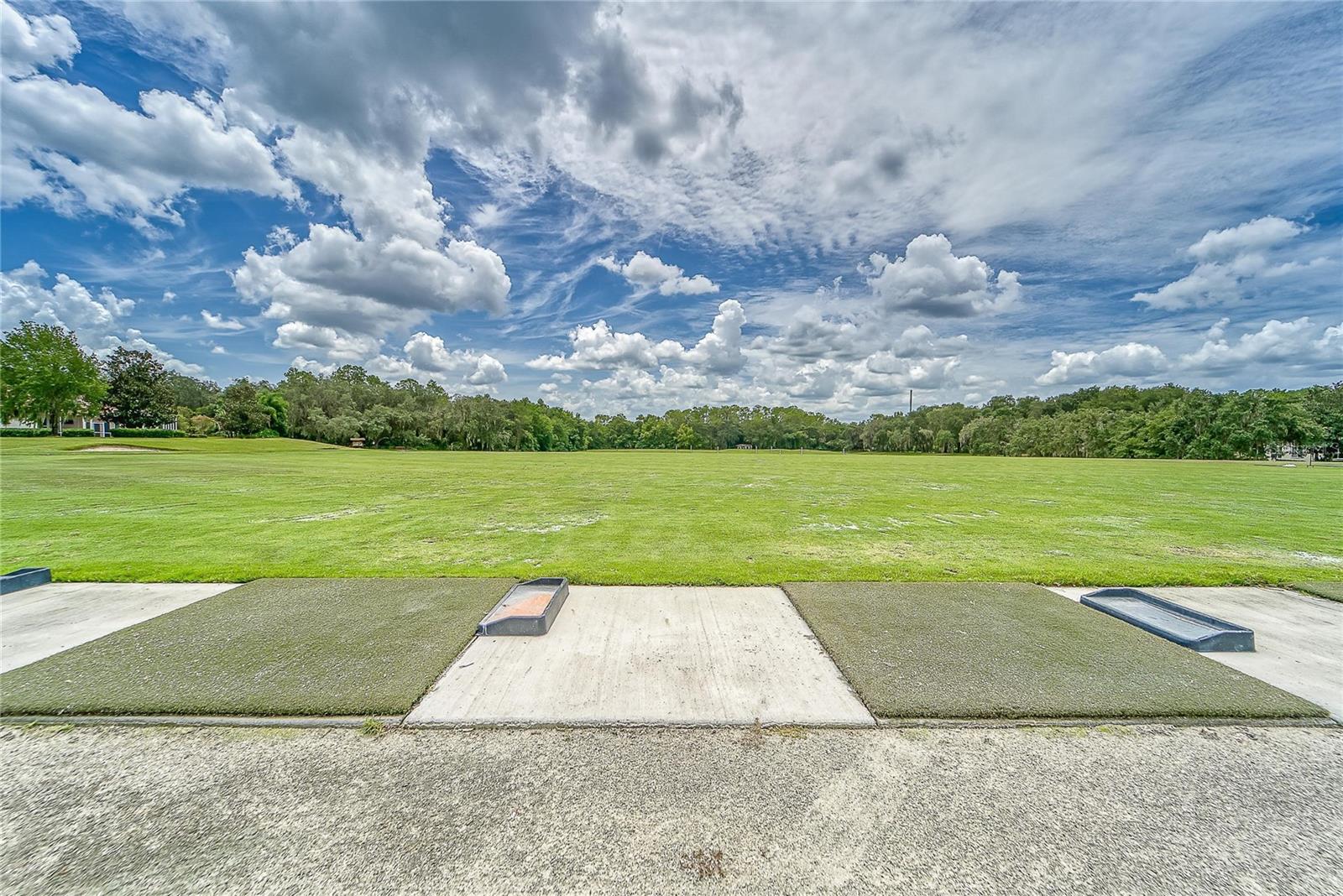 3522 FOX SQUIRREL LN, VALRICO, FL, 33596