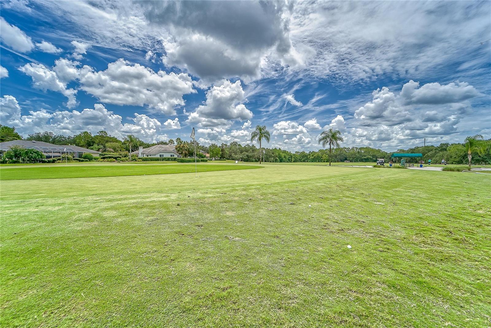 3522 FOX SQUIRREL LN, VALRICO, FL, 33596