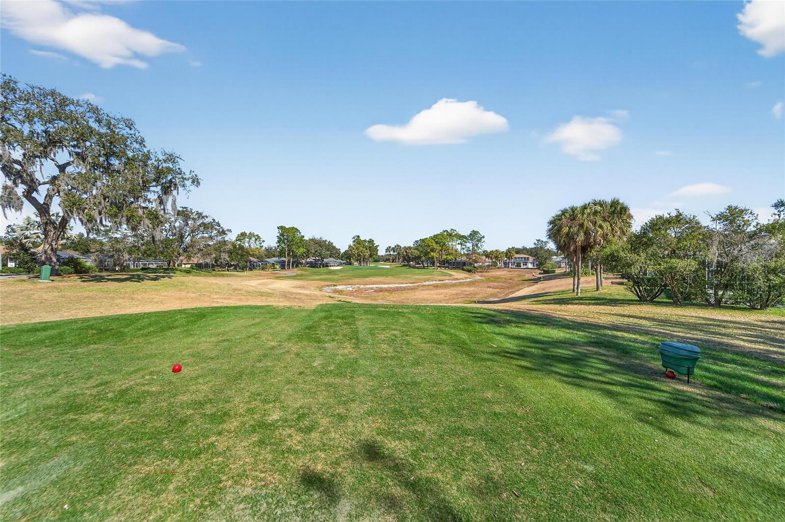 3522 FOX SQUIRREL LN, VALRICO, FL, 33596