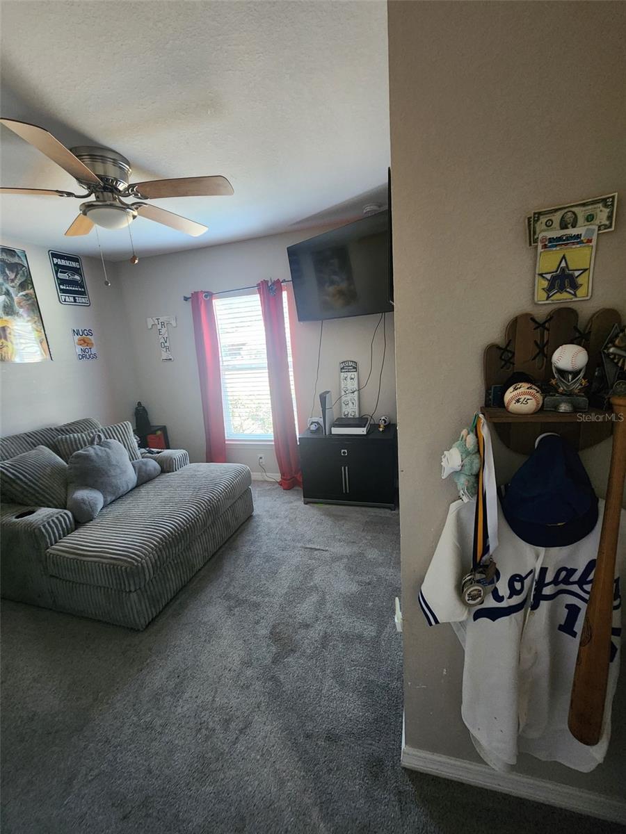 16359 SE 87TH CT, SUMMERFIELD, FL, 34491