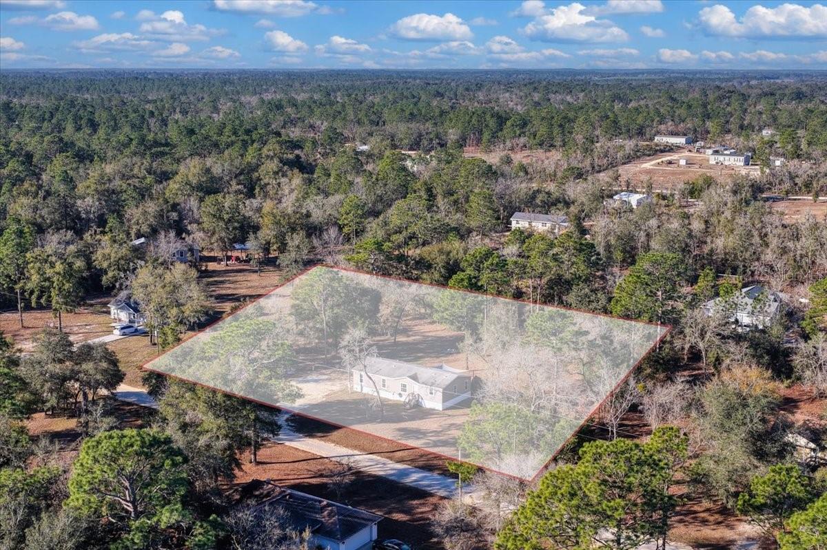 1910 NE 155TH CT, WILLISTON, FL, 32696