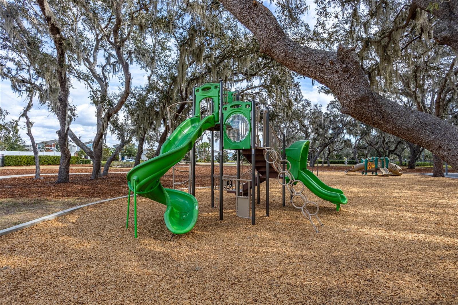 12619 HAMMOCK PARK DR, RIVERVIEW, FL, 33579