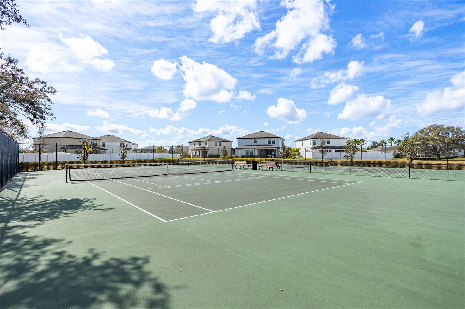 12619 HAMMOCK PARK DR, RIVERVIEW, FL, 33579