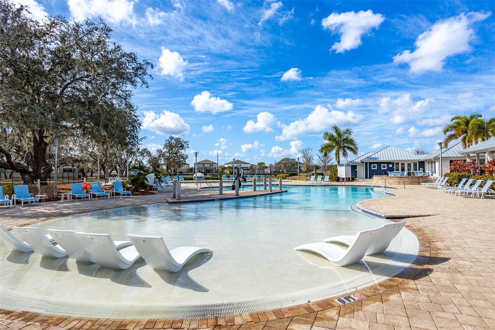 12619 HAMMOCK PARK DR, RIVERVIEW, FL, 33579