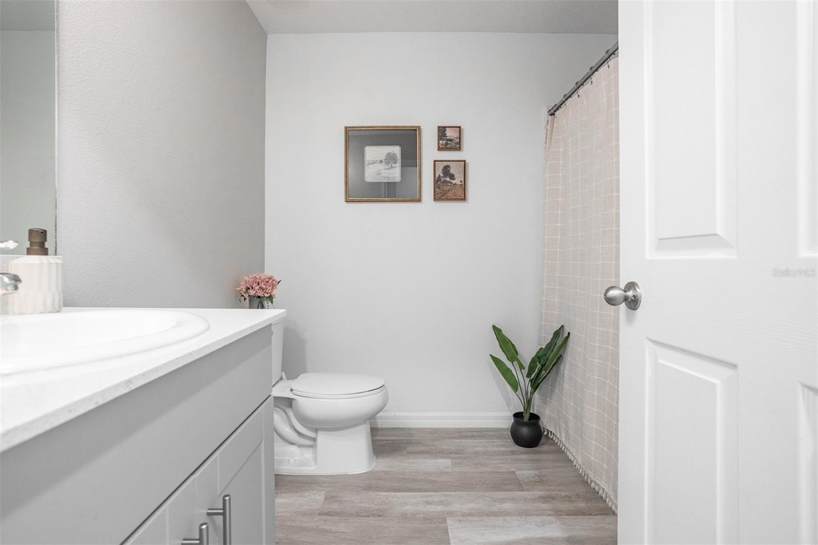 12619 HAMMOCK PARK DR, RIVERVIEW, FL, 33579