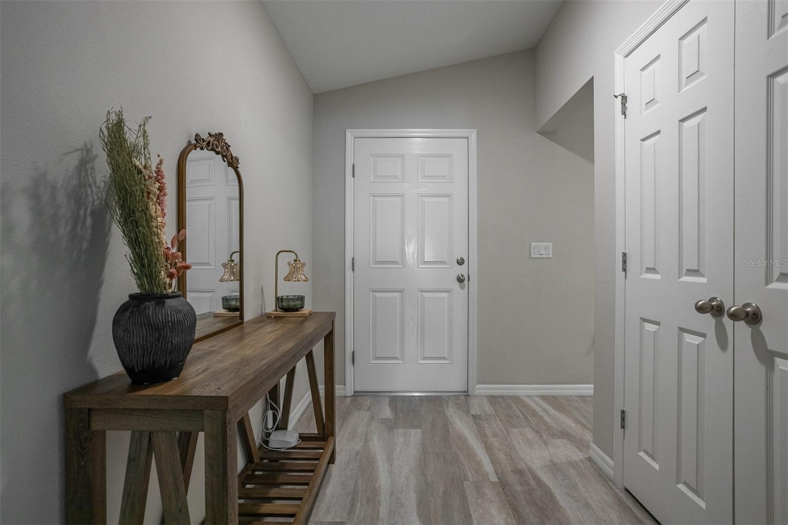 12619 HAMMOCK PARK DR, RIVERVIEW, FL, 33579