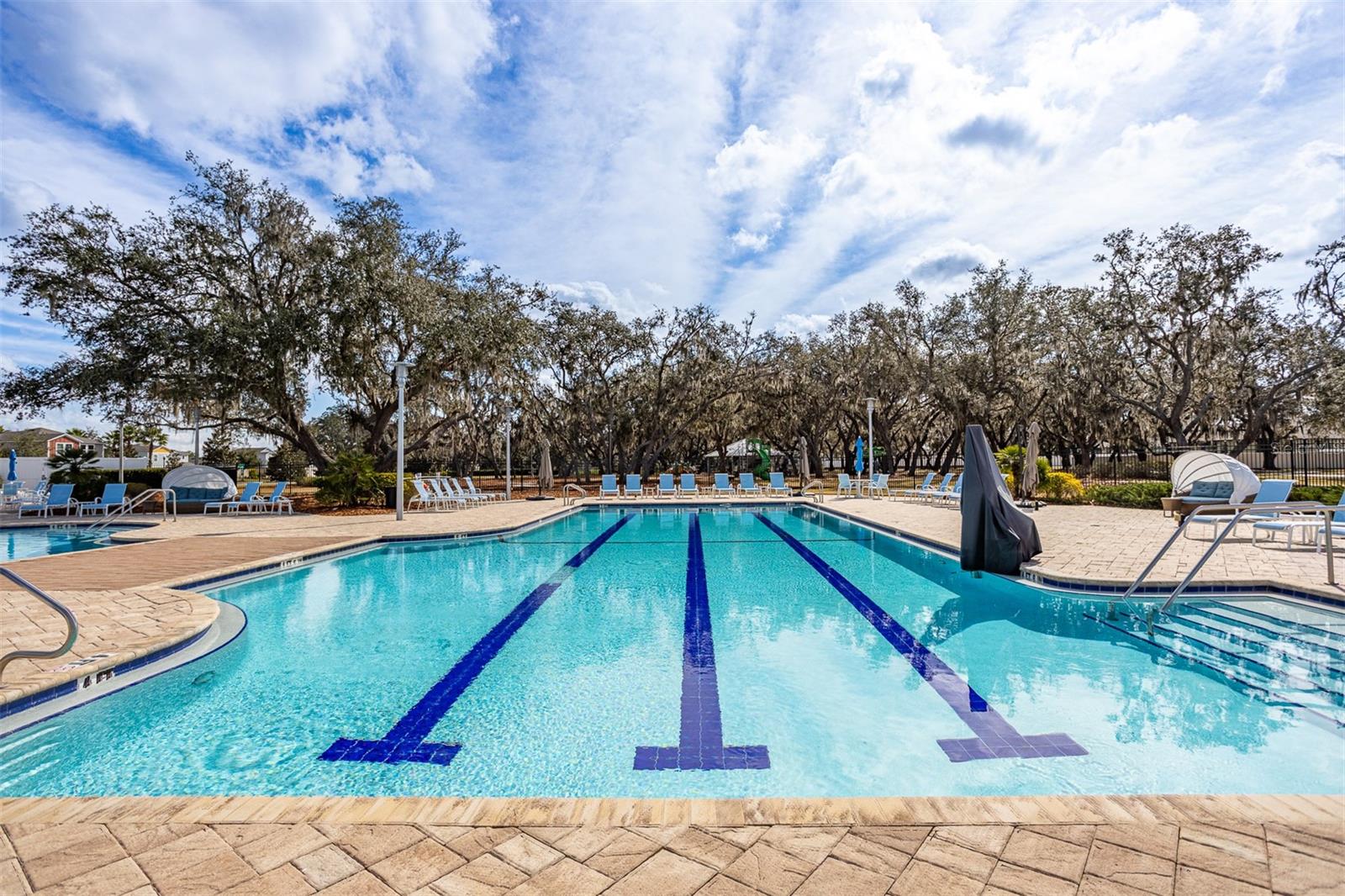 12619 HAMMOCK PARK DR, RIVERVIEW, FL, 33579