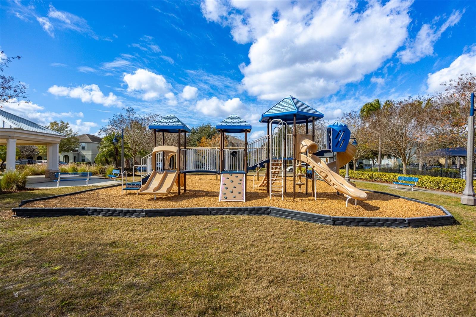 12619 HAMMOCK PARK DR, RIVERVIEW, FL, 33579