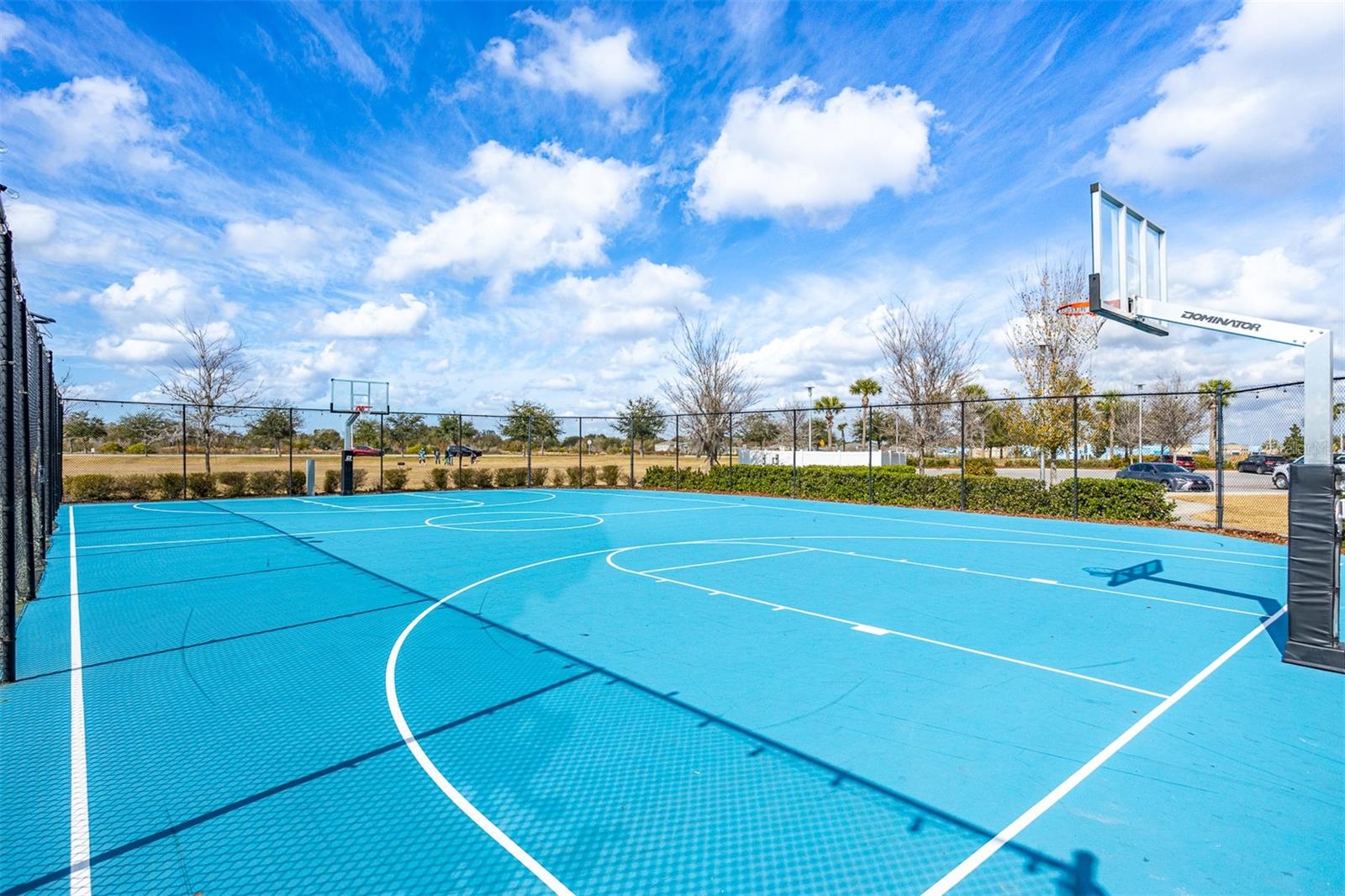 12619 HAMMOCK PARK DR, RIVERVIEW, FL, 33579