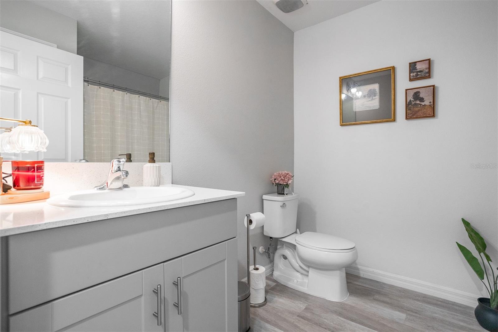 12619 HAMMOCK PARK DR, RIVERVIEW, FL, 33579