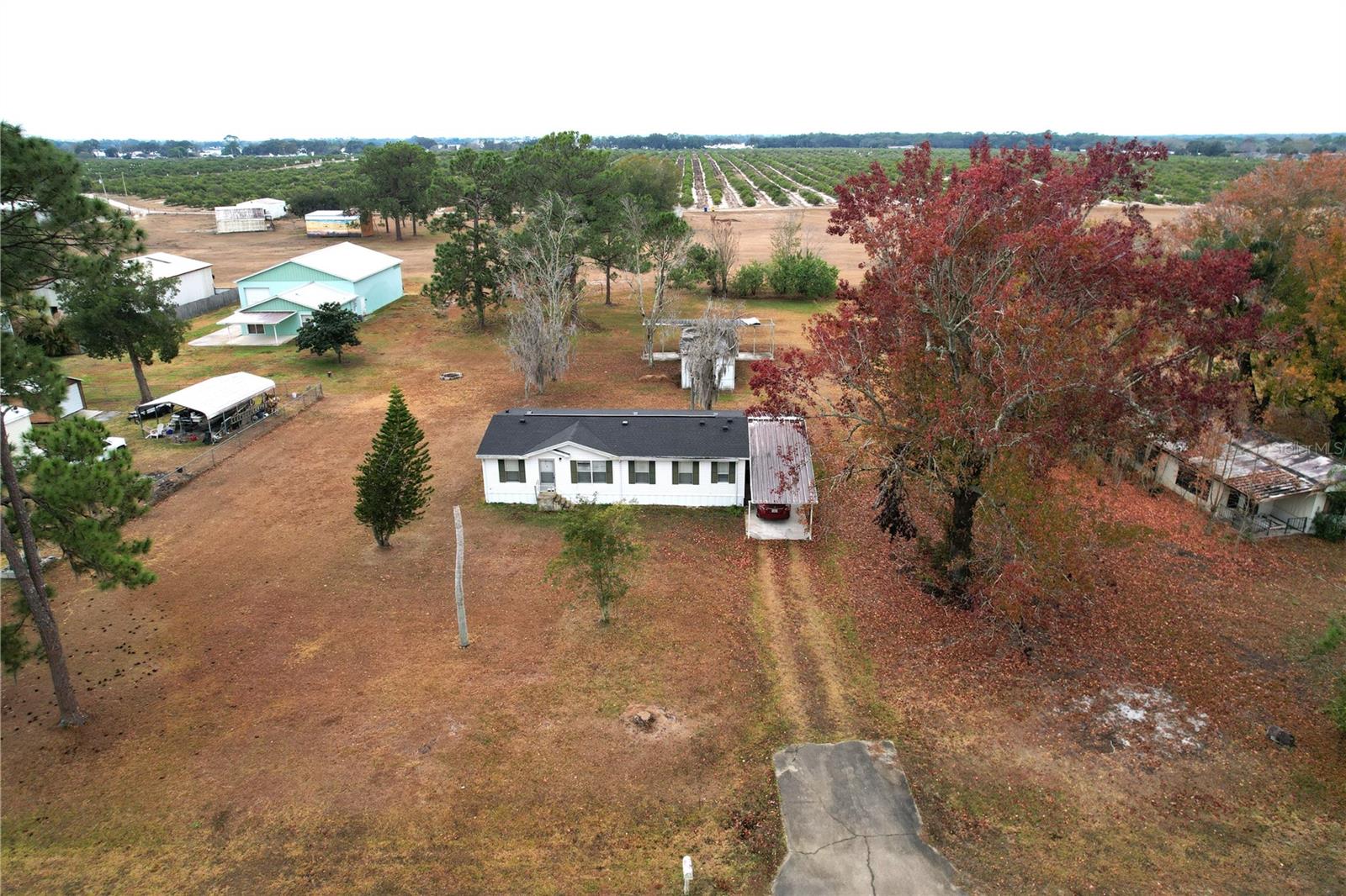 112 PINE TREE DR, LAKE PLACID, FL, 33852